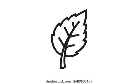 Single leaf outline with transparent background
