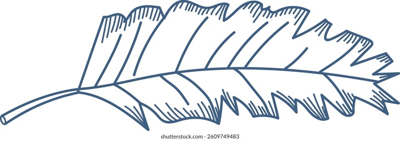 A single leaf is shown in a hand-drawn style with etched lines.  The foliage is depicted with simple, clean strokes and a delicate form. Cartoon vector illustration