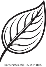 Single leaf silhouette symbolizing nature, eco, organic, and environment themes.