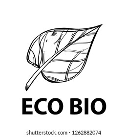 Single leaf with veins, logo with text. Vector black and white drawing.