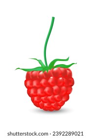 single leaves raspberry berry. red fruit, leaf plant, food fresh, sweet green, dessert ripe, vector illustration.