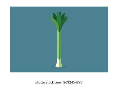 Single Leek Plant Standing Tall