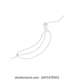 Ilustración vectorial plátano del arte de la sola línea aislada en un fondo transparente