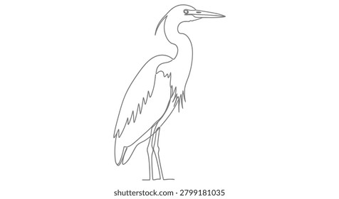 Single line art drawing of a standing heron bird with wildlife standing waterbird creature continuous minimalist illustration observing graceful birdwatching ornithology environment