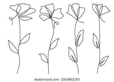 Single line art flowers botanical collection.Hand-drawing vector illustration