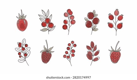 Single line art illustration of assorted red berries including strawberries, raspberries, and cranberries with watercolor accents on white background for botanical vector design.
