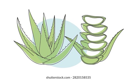 Single line art illustration featuring a green aloe vera plant and a vertical stack of cross-section slices, set against a light blue circular accent on a clean white background.