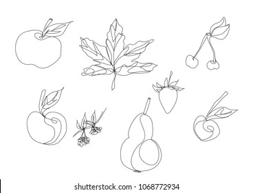 single line art, outline vector fruits set