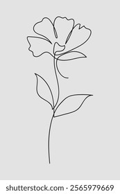 Single line art vector flower illustration.One continuous line art.