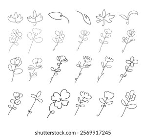 Single line art vector flower illustration, outline a set of blooming flowers