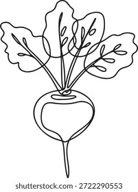 Ilustração vetorial de arte de uma única linha de beterraba orgânica com folhas verdes. Minimalismo estilo vegetal esboço desenho para o conceito de comida saudável. Ícone de raiz de beterraba desenhada à mão em silhueta preta e branca para design de menu vegetariano e tema de agricultura orgânica isolado na transparência.