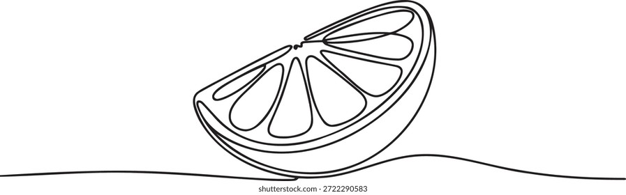Desenho vetorial de arte de uma única linha mostrando a seção transversal detalhada de uma cunha de citrinos. Desenho esquemático ilustrando segmentos suculentos e crosta isolada no conceito de fundo transparente.