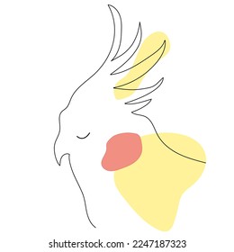 Single line drawing of bird .Hand drawn parrot small cockatiel .Yellow and red abstract spots 