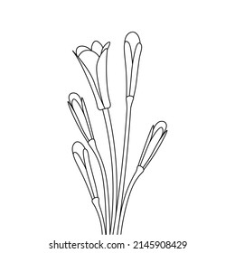 Einzeilenzeichnung blühender Blumen Farbseiten für Kinder