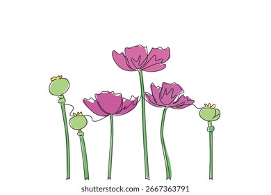 Un dibujo de una sola línea de flores de amapola rosa en flor, que simboliza la conciencia para el Día del Movimiento de Supresión del Opio, combinando el concepto de naturaleza con un estilo de diseño minimalista.