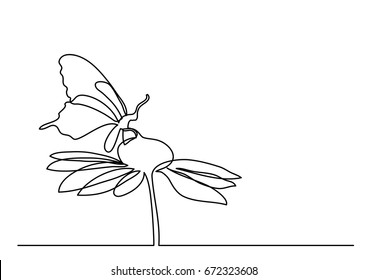 single line drawing butterfly   flowers