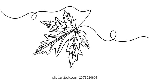 Single line drawing of a leaf, Maple Leaf, Canada Day Continuous Line Drawing with Editable Stroke, A single line drawing of an oak leaf. Continuous line thanksgiving icon in color.