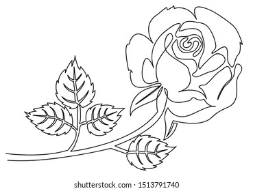 Single line drawing of Rose Flower with Leaves - Vector line art