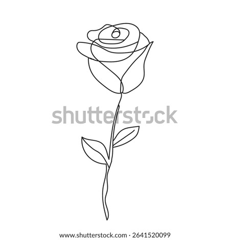 Single line drawing of a rose flower