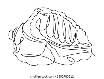 single line drawing of sea shell 