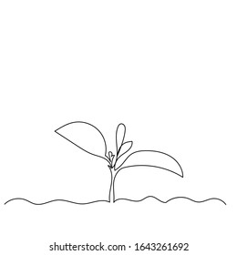 single line drawing of a sprout