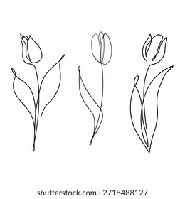 Um único desenho de linha de uma tulipa. Um conjunto de tulipas abstratas e minimalistas. Garatujas pretas e brancas. Ícone de tulipa, logotipo ou rótulo.