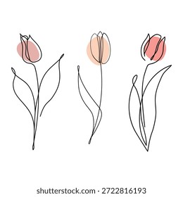 A single line drawing of a tulip. A set of abstract, minimalist tulips. Black and white doodles. Tulip logo, or label.