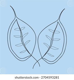 Single line drawing two symmetrical leaves with veins light blue foliage