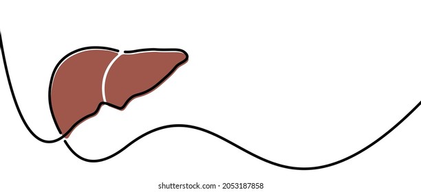 Single line drawn brown liver outline. Vector illustration.