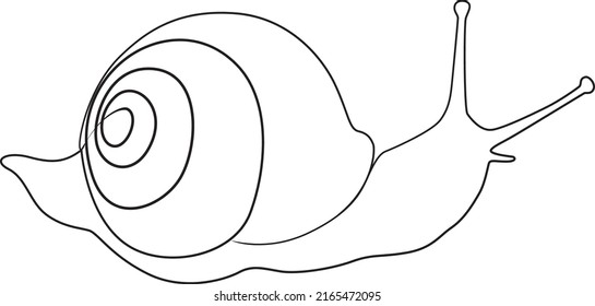 single line exotic pet snail