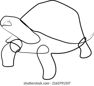single line exotic pet turtle