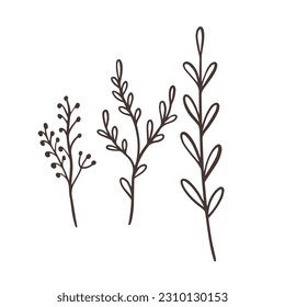 Single line floral branches set. Line art drawing vector art illustration. Isolated on white background.
