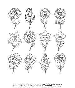 Single Line Floral Drawing Vector Collection.