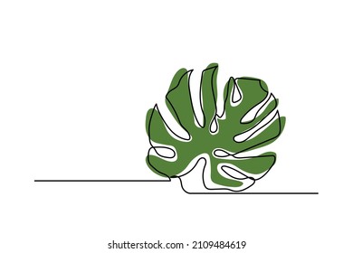 single line hand drawn continuous monstera leaf plant