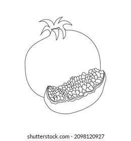 Pomegranía dibujada a mano de una sola línea