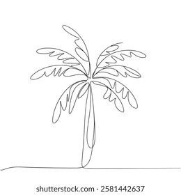 Single Line Palm Tree Drawing