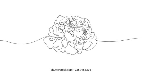 Einzeilige Peony-Blume, Vektorgrafik. Schöne Linienkunst für Druck. Minimalistische elegante Zeichnung
