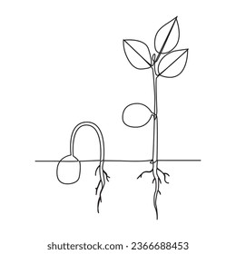 Single line Plant growth processing from seed illustration