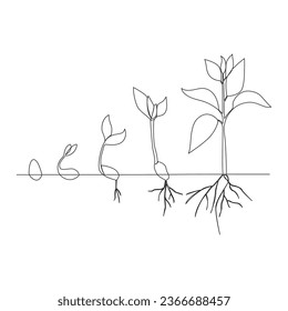 Single line Plant growth processing from seed illustration