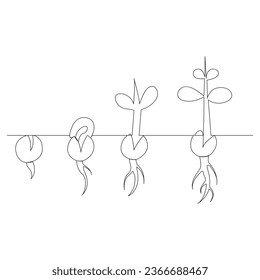 Single line Plant growth processing from seed illustration