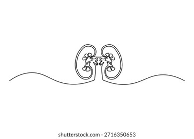 Single line sketch of human kidneys icon