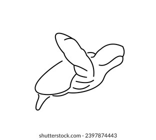 Single Line Turtle Mascot Icon