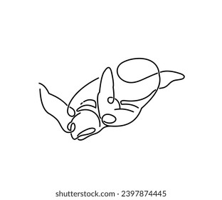 Single Line Turtle Mascot Icon