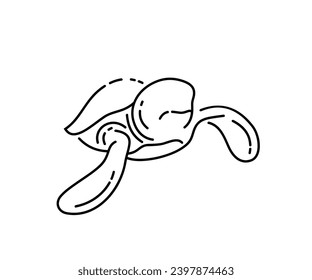 Single Line Turtle Mascot Icon