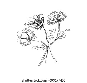 Single line vector flowers sketch, outline illustration