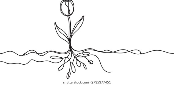 Single line vector illustration showing a tulip flower blooming above a wavy line representing ground with intricate root system below this continuous line art signifies growth nature and organic beauty simple sketch design