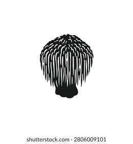 A single Lion's Mane mushroom silhouette highlighting its unique shaggy downward-growing tooth structures