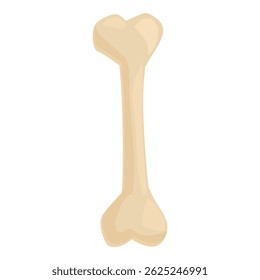 Single long bone standing up, simple cartoon illustration of an important part of the skeleton