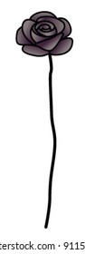 A single long stemmed black rose.