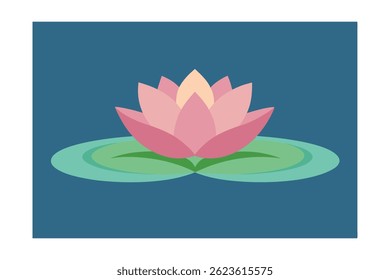 single lotus blooming in calm waters
